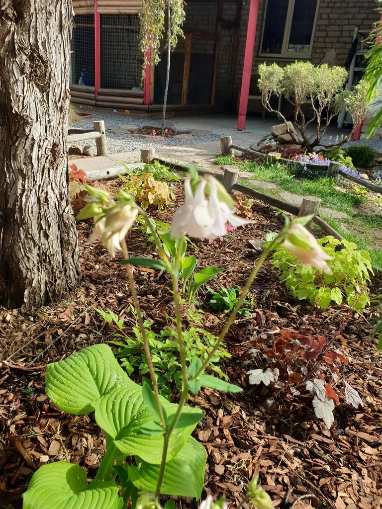 Чайная беседка