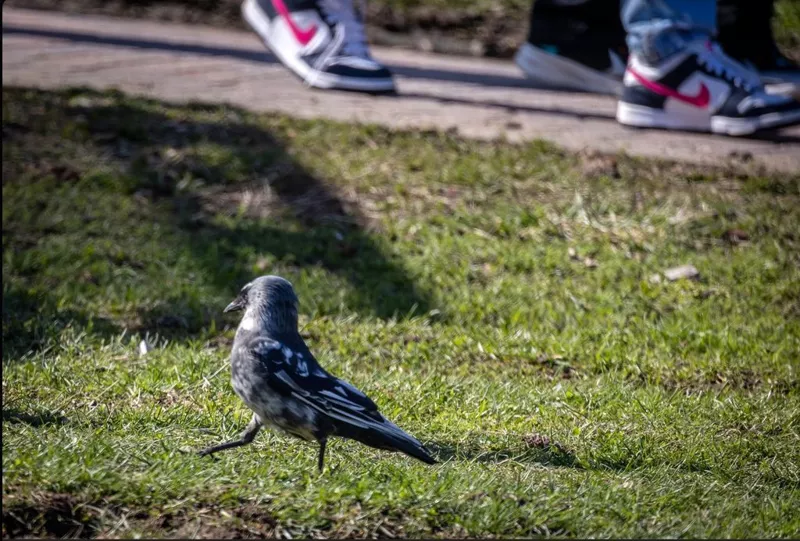 Коломенское