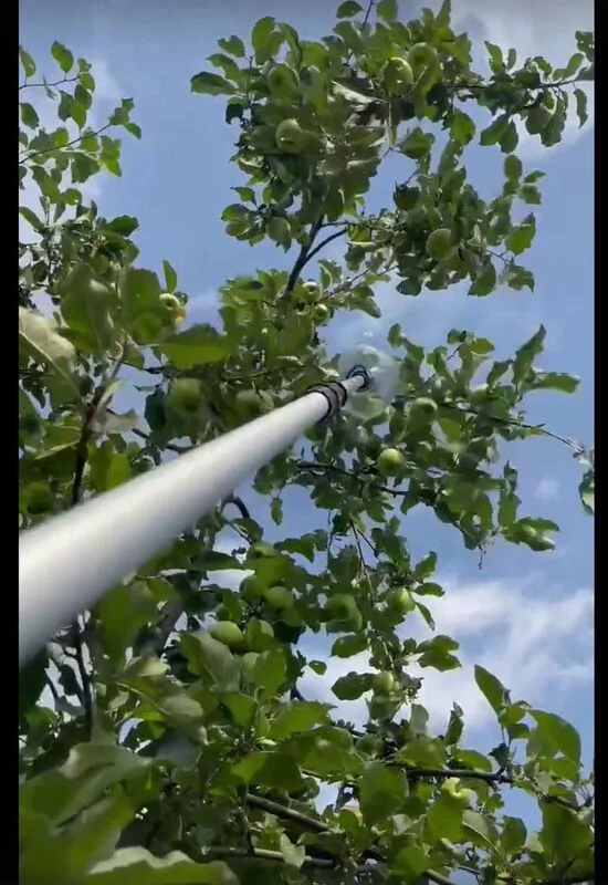 Коломенское