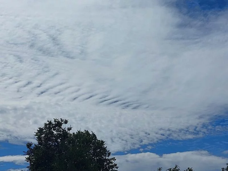 Такое разное небо