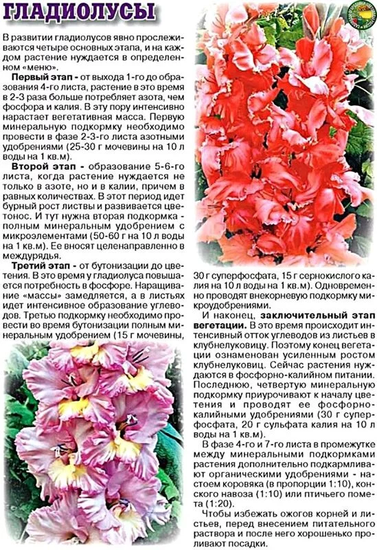 Садово-огородная  инфографика