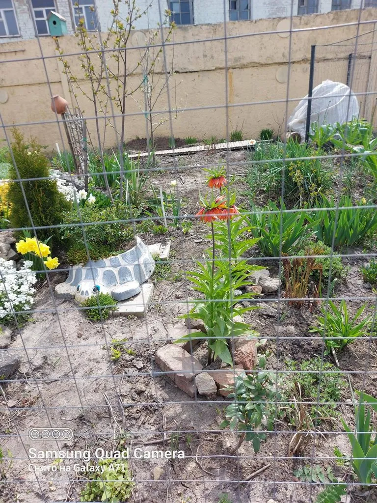 Чайная беседка