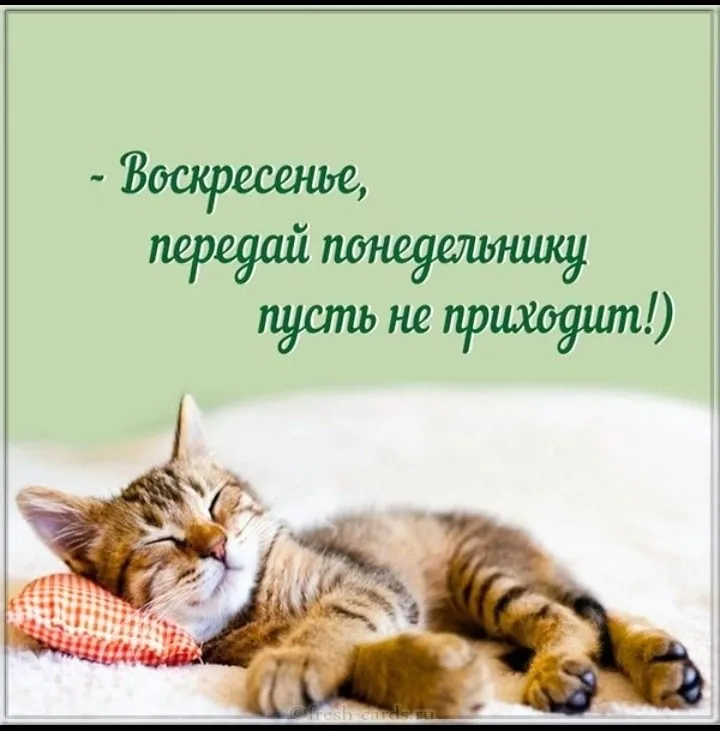 Посмеялся сам - поделись с другом!!!