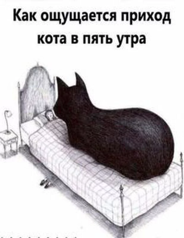 Посмеялся сам - поделись с другом!!!