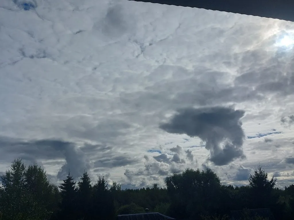 Такое разное небо