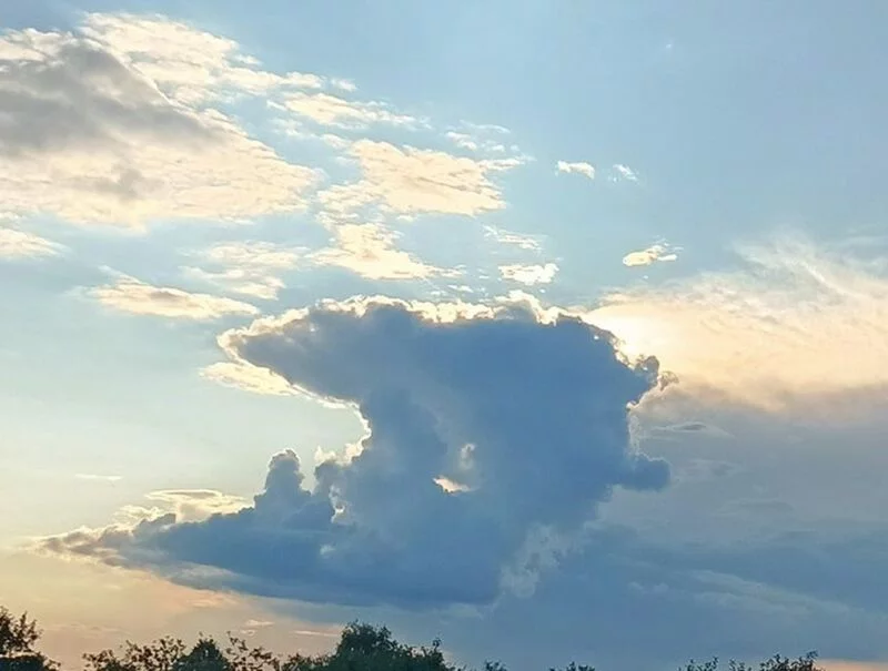 Такое разное небо