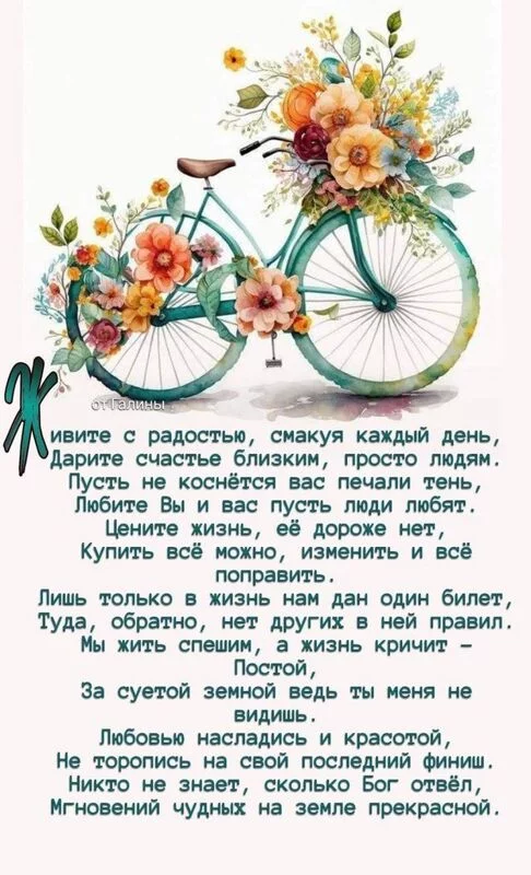 Позитивчик (фото, видео, рассказы для хорошего настроения)