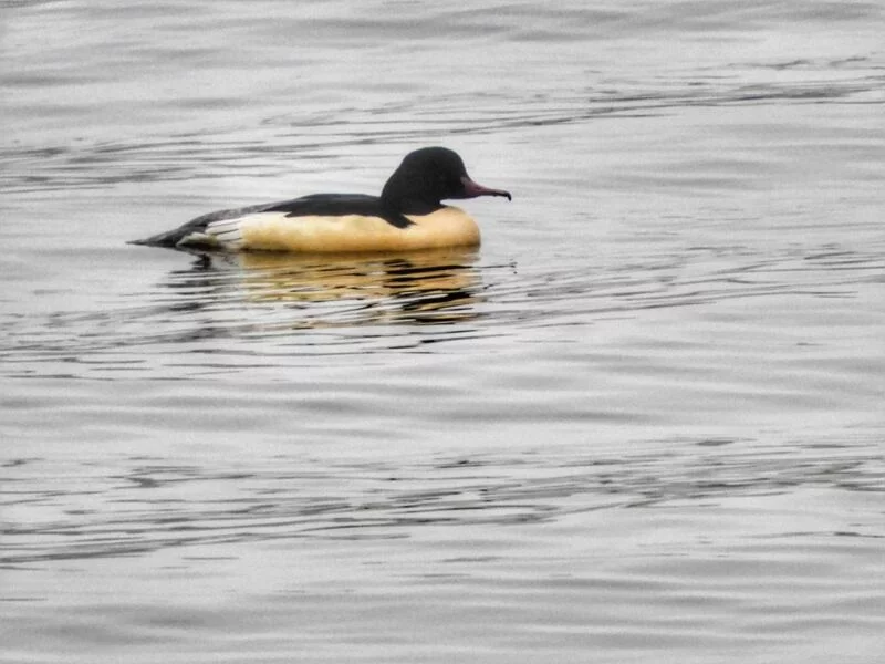 Коломенское