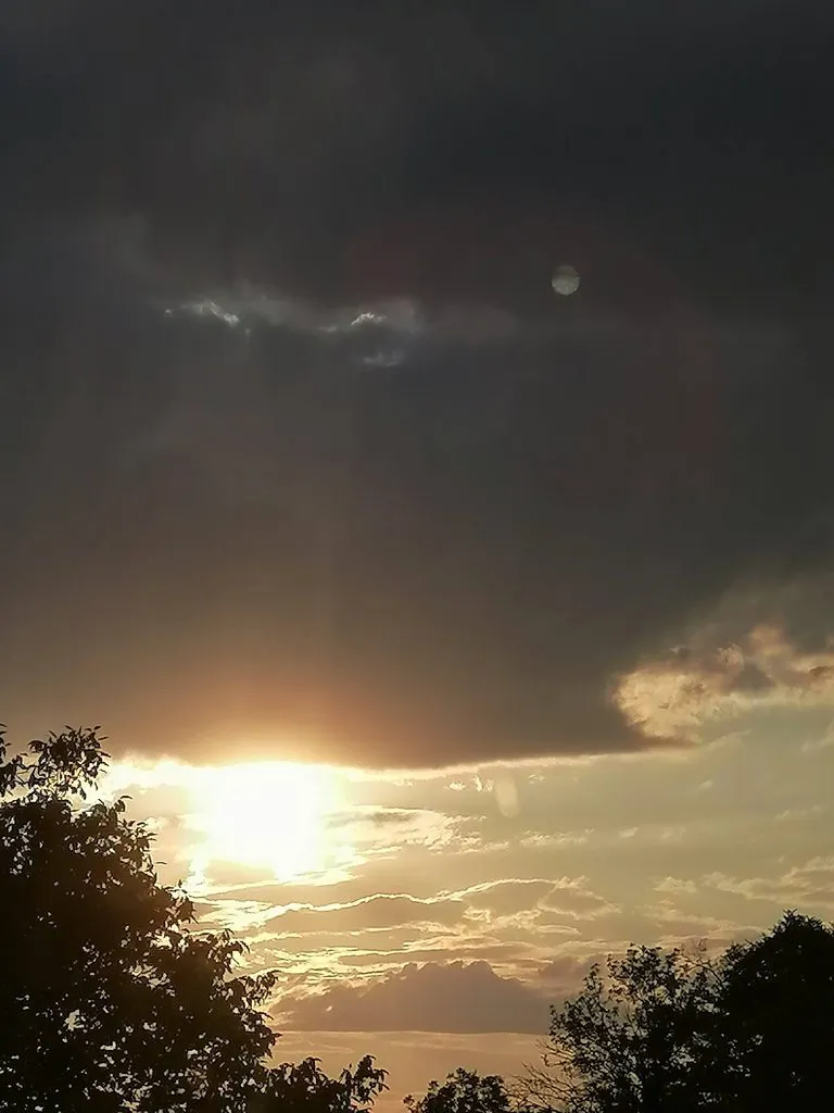 Чайная беседка