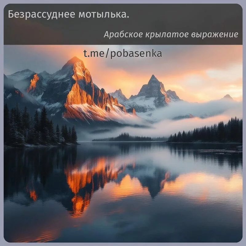 «Безрассуднее мотылька.» height="550" width="550"
