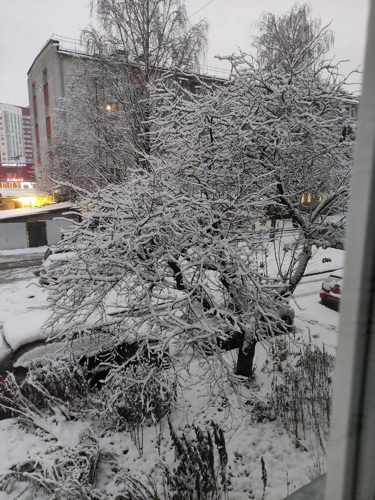 Кафе «У пани Сони»