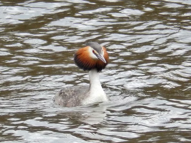 Коломенское