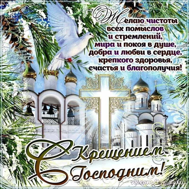 Tapтaлeтки & Ко