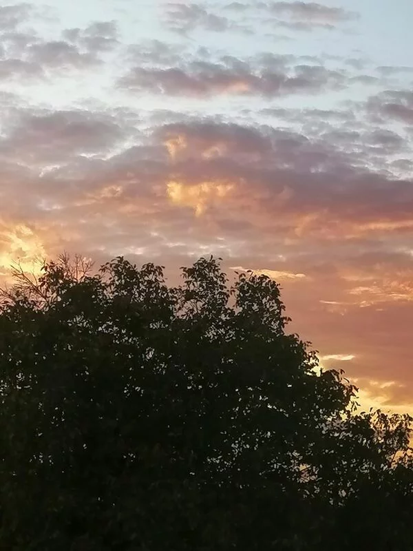 Такое разное небо