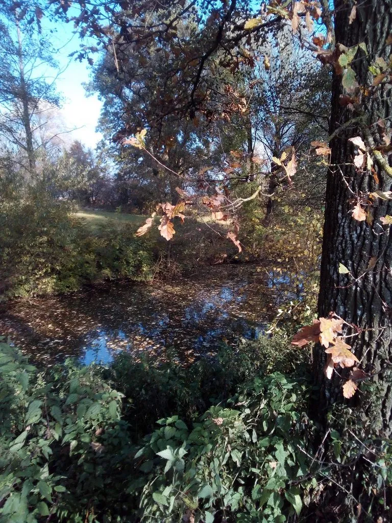 Чайная беседка