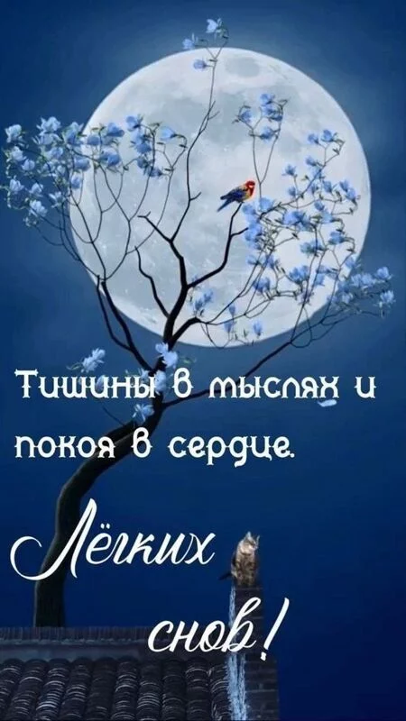 Кафе "У пани Сони"
