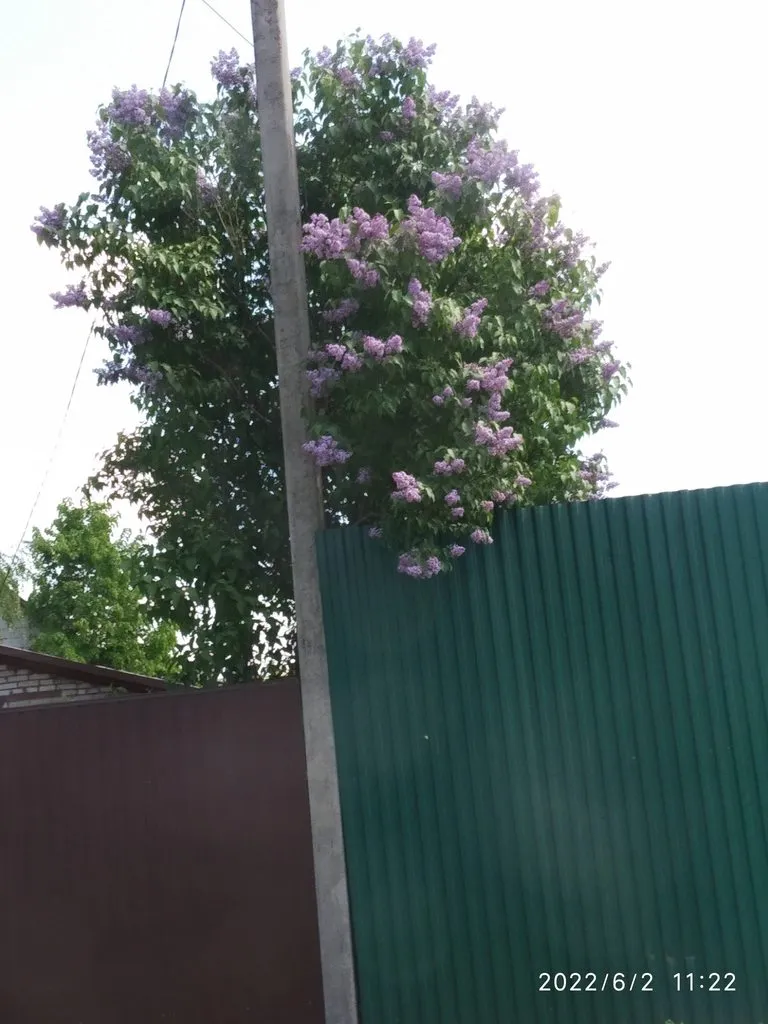 Чайная беседка