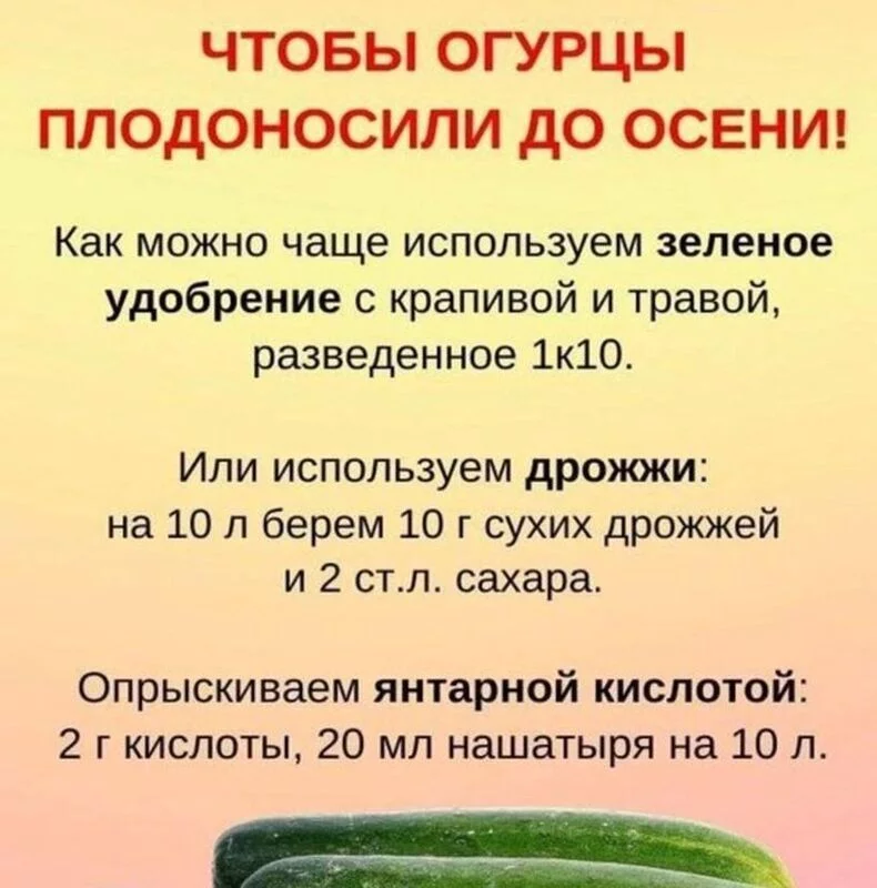 Садово-огородная  инфографика