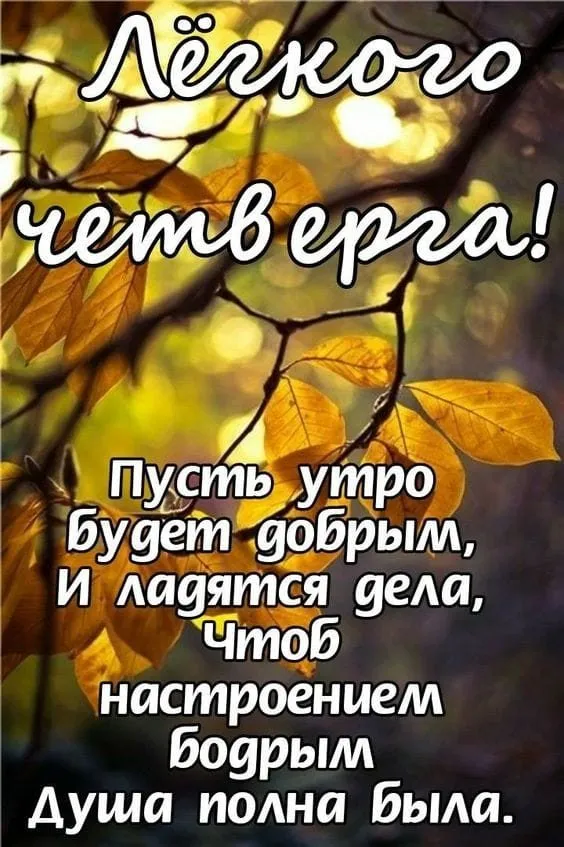 Кафе «У пани Сони»
