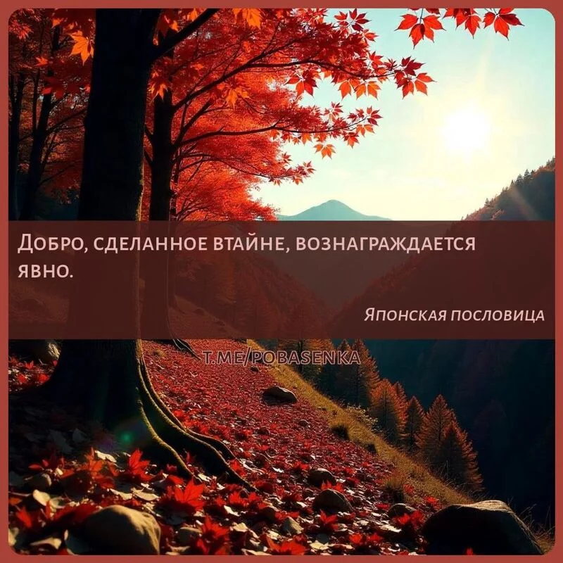 «Добро, сделанное втайне, вознаграждается...» height="550" width="550"