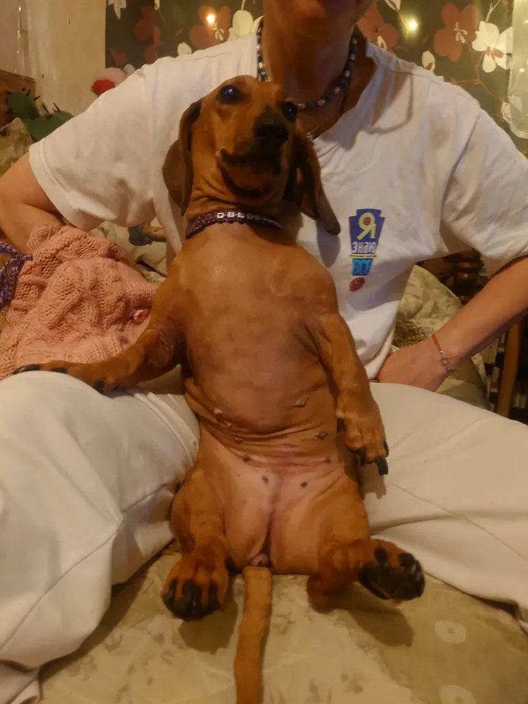 Живой Журнал Жульена