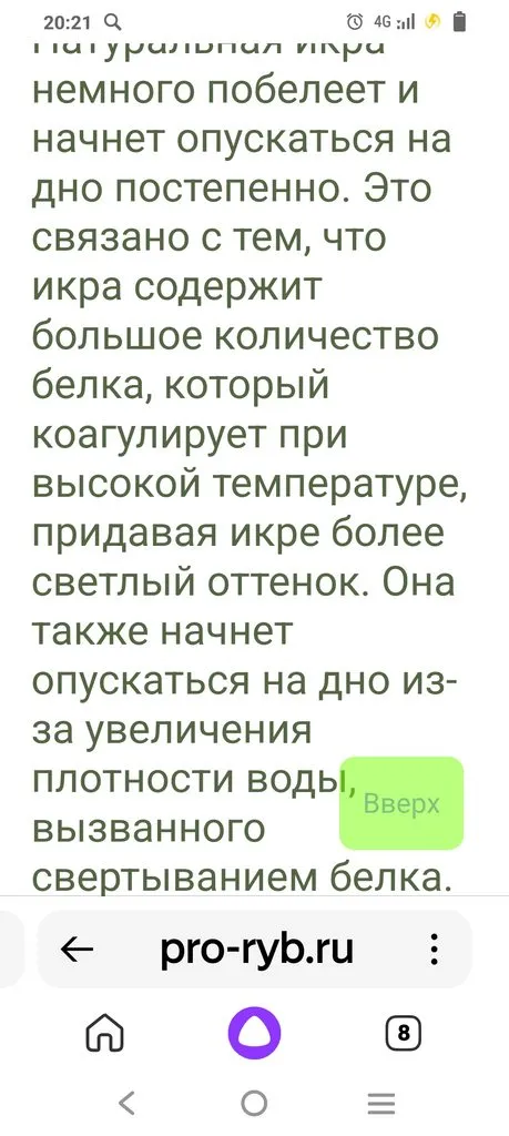 Глупые вопросы