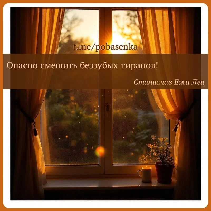 «Опасно смешить беззубых...» height="550" width="550"