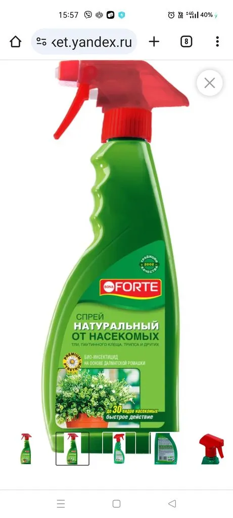 Цветочки: моем, пересаживаем, подкармливаем... (всё о комнатных растениях)