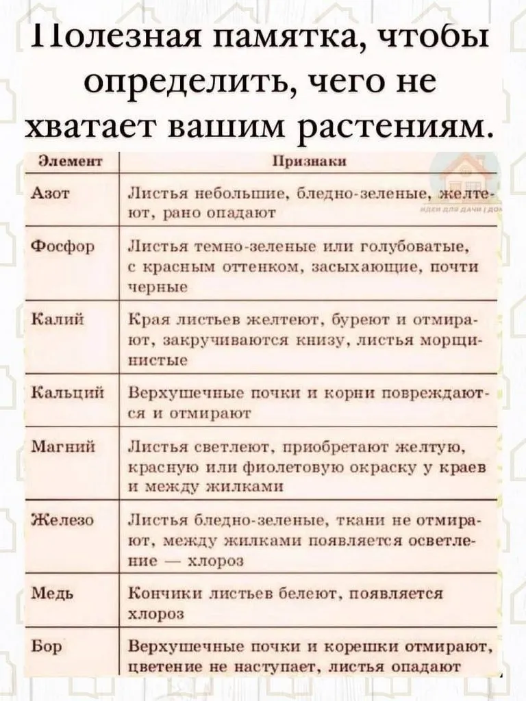 Загородная жизнь - обустройство жизни на своей земле во всем ее разнообразии