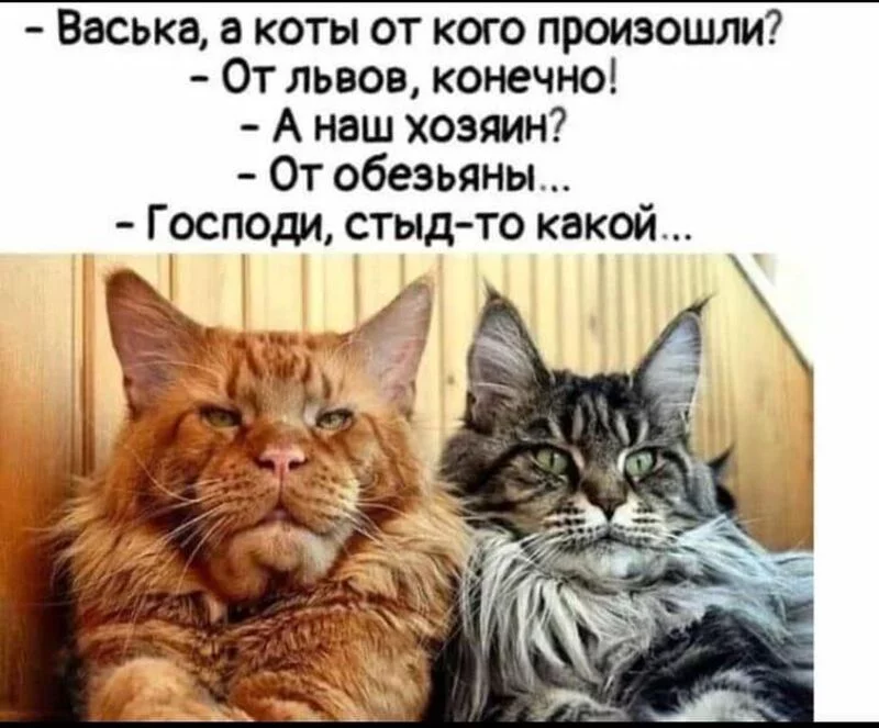 Посмеялся сам - поделись с другом!!!