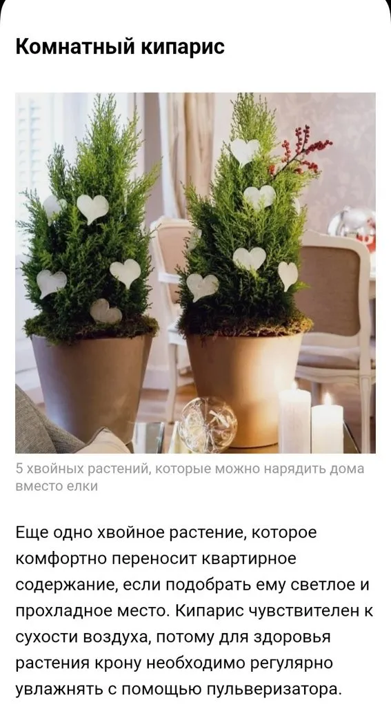 Кафе «У пани Сони»