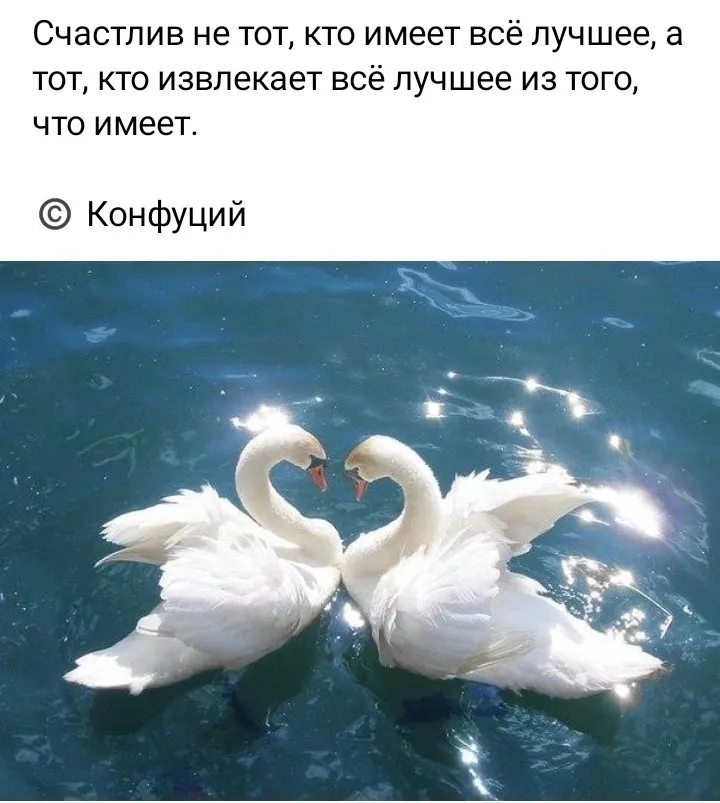 Кафе «У пани Сони»