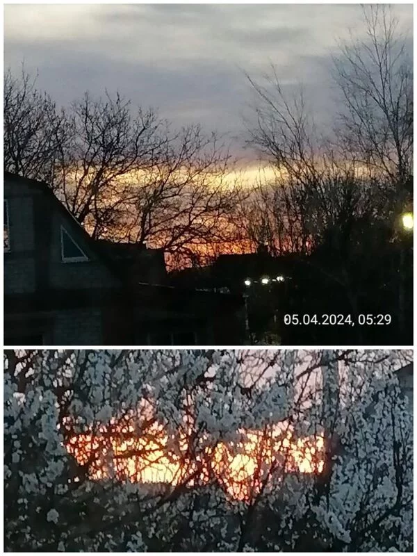 Такое разное небо