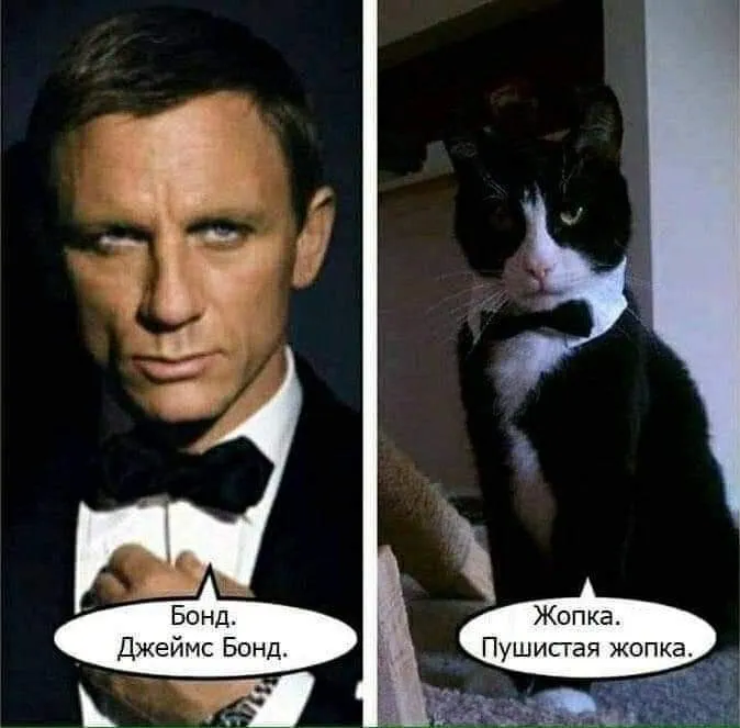 Посмеялся сам - поделись с другом!!!