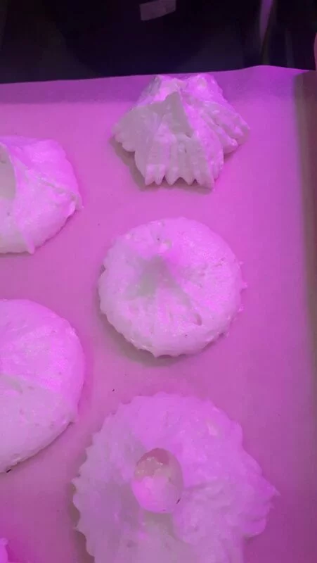 Зефирные букеты и композиции