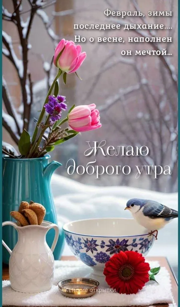 Чайная беседка