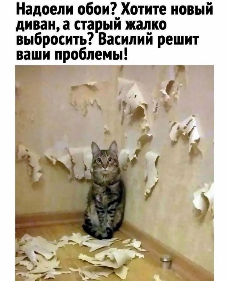 Посмеялся сам - поделись с другом!!!