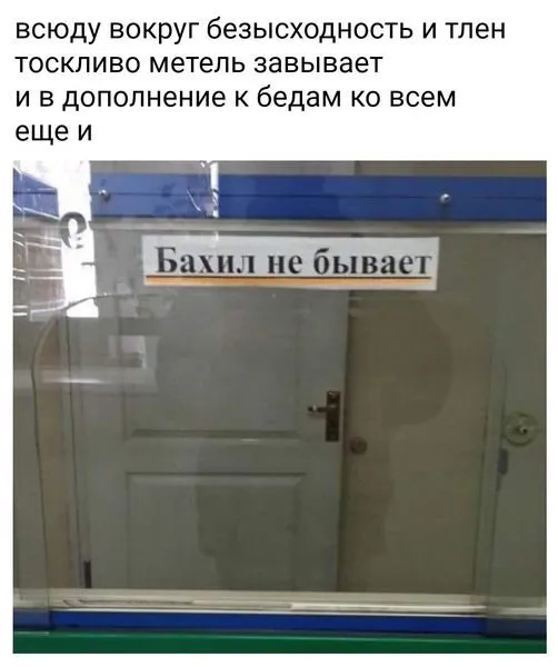 Всюду рифмы