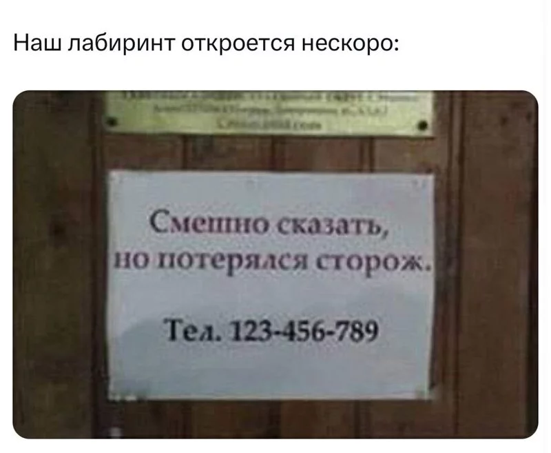 Всюду рифмы