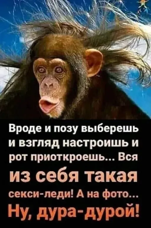 Можно ли вывести деревню из девуши или о моде, о стиле....