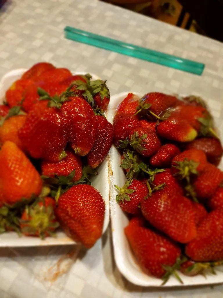 Tapтaлeтки & Ко