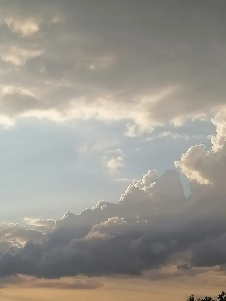 Чайная беседка