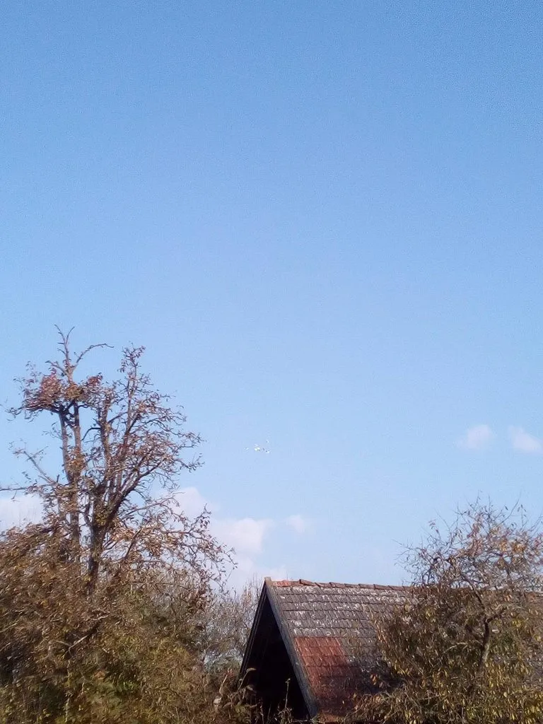 Чайная беседка