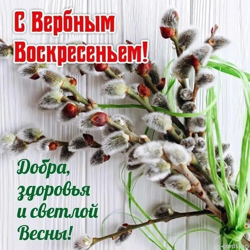 Кафе "У пани Сони"