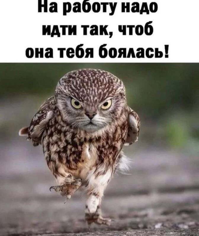 Посмеялся сам - поделись с другом!!!