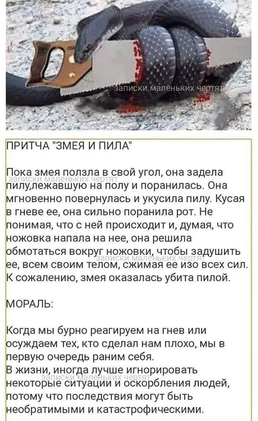 Сказка ложь, да в ней намек