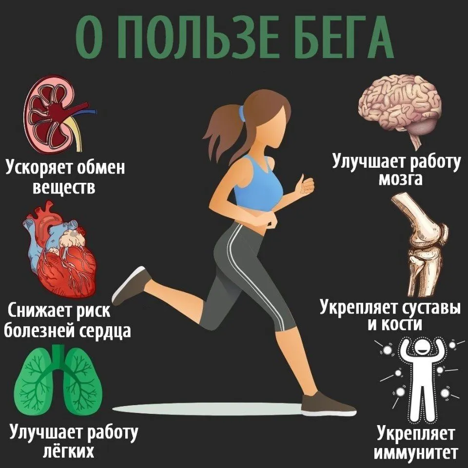 Медицинская инфографика