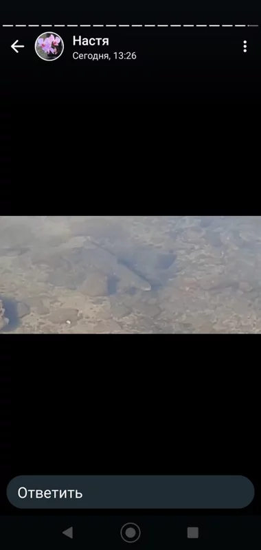 Чайная беседка