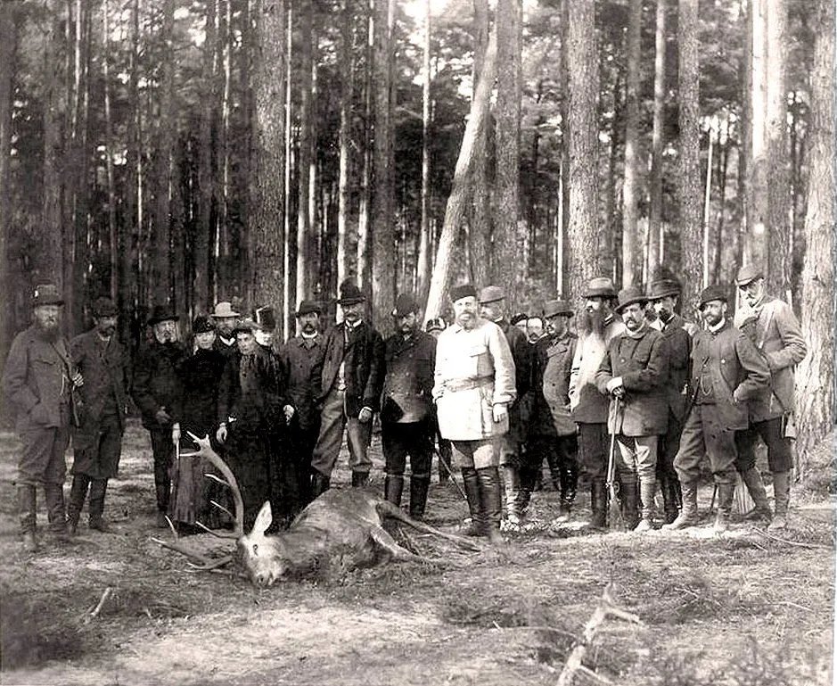 Запечатленная история