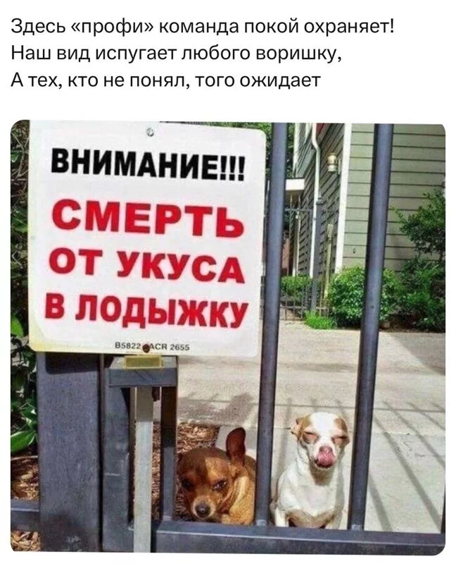 Всюду рифмы